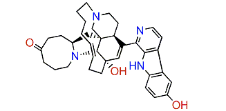 6-Hydroxymanzamine E
